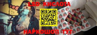 spice Шебекино