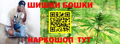 дмт Шелехов