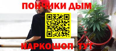 дмт Шелехов